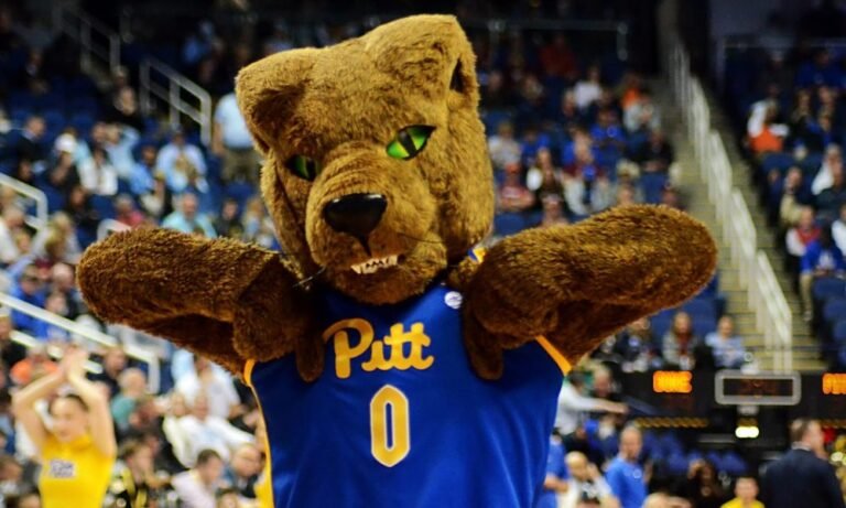 Pitt Women's Basketball Coaching Search Update