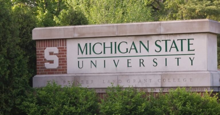 msu sign