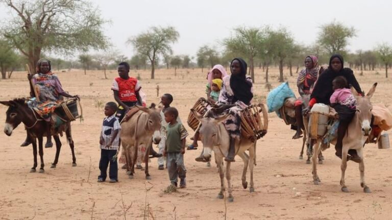 230628142206 03 sudan refugees chad file