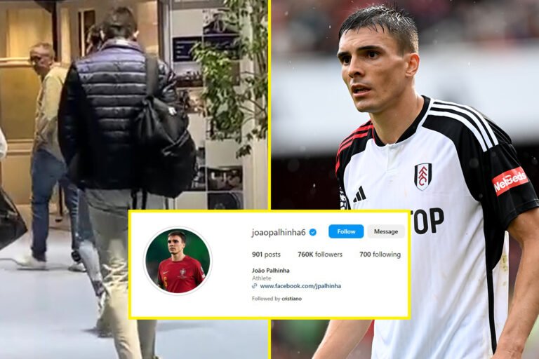 Joao Palhinha branded childish and petulant for subtle Instagram change following failed Bayern Munich transfer