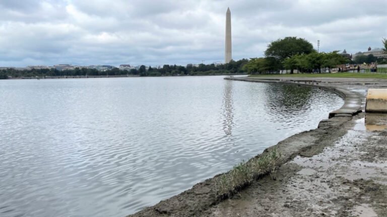 Cianbro Wins $113M Contract for Nation’s Capital Seawall Rehab