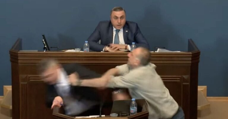 Ugly brawl breaks out in European country’s parliament as MP punches rival in face