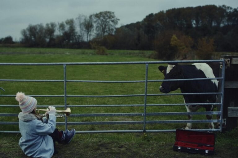 Peta’s dark festive ad shows friendship between girl and a cow