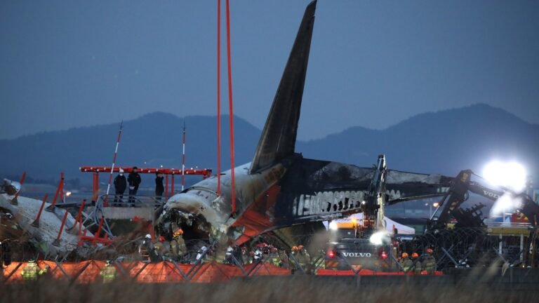 Desperate hunt for answers as ‘confused’ experts left baffled by plane crash that killed 179 & cast doubt on bird strike